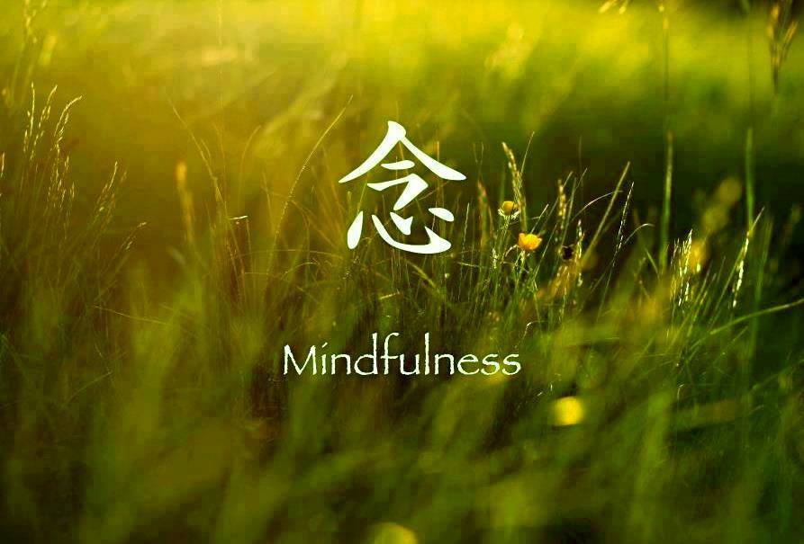 Mindfulness: la scoperta delle piccole cose per diventare grandi